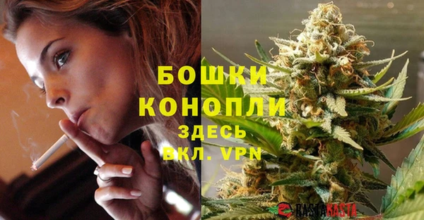 СК Инсар