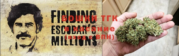 ешки Иннополис