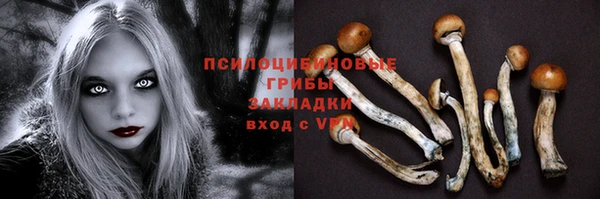 СК Инсар