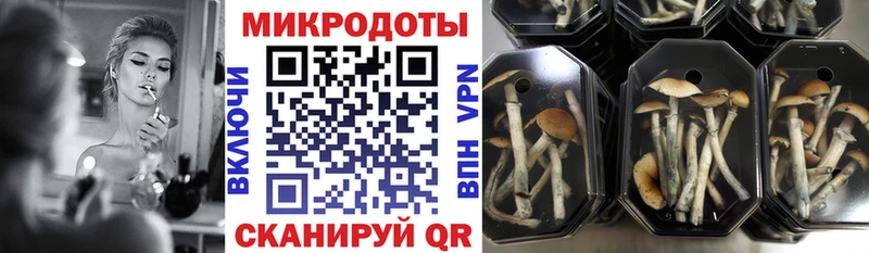 Псилоцибиновые грибы мухоморы  Купить  Задонск 